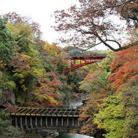 甲斐の猿橋より