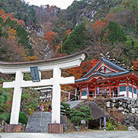 夫婦木神社姫の宮