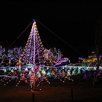 イルミネーション